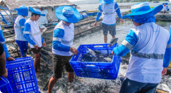 Methods of Aquaculture in the Philippines