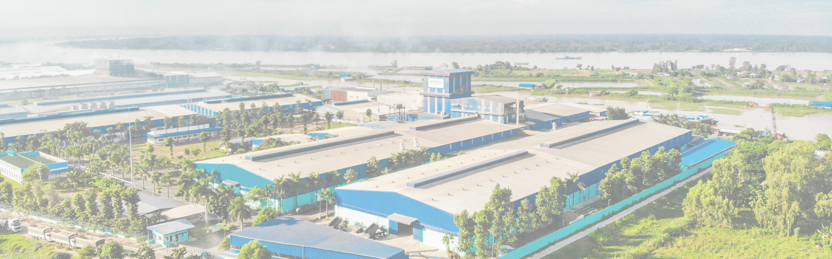 VN-Dong-Thap-Plant