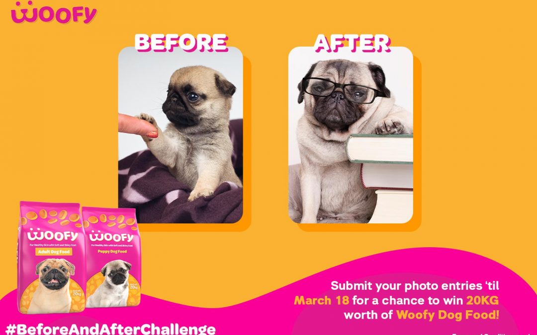 Woofy #BeforeAndAfterChallenge