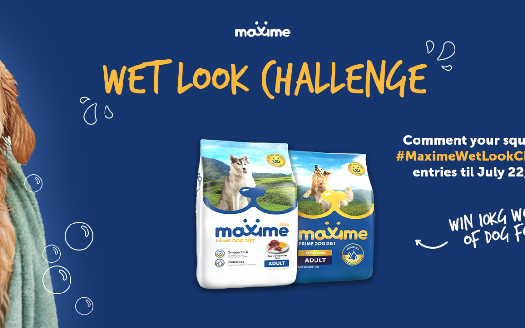 Maxime Wet Look Challenge