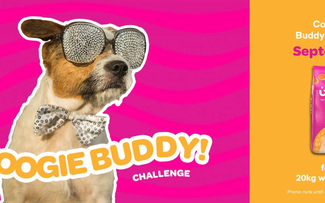 Woofy Boogie Buddy Challenge