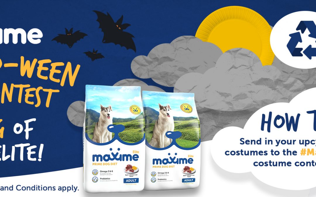 Maxime DIY HOWL-o-ween Costume Contest