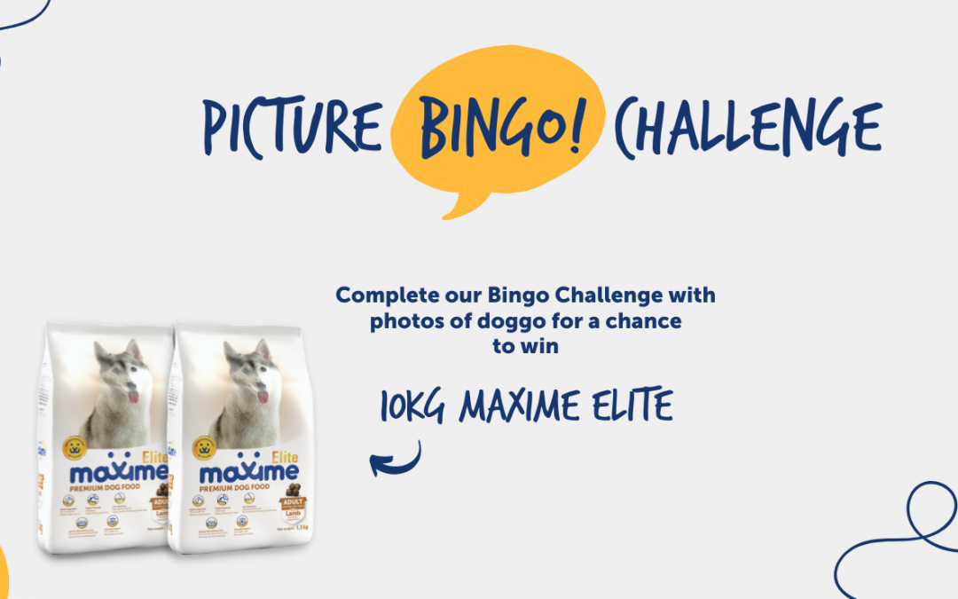 Maxime Picture Bingo Challenge