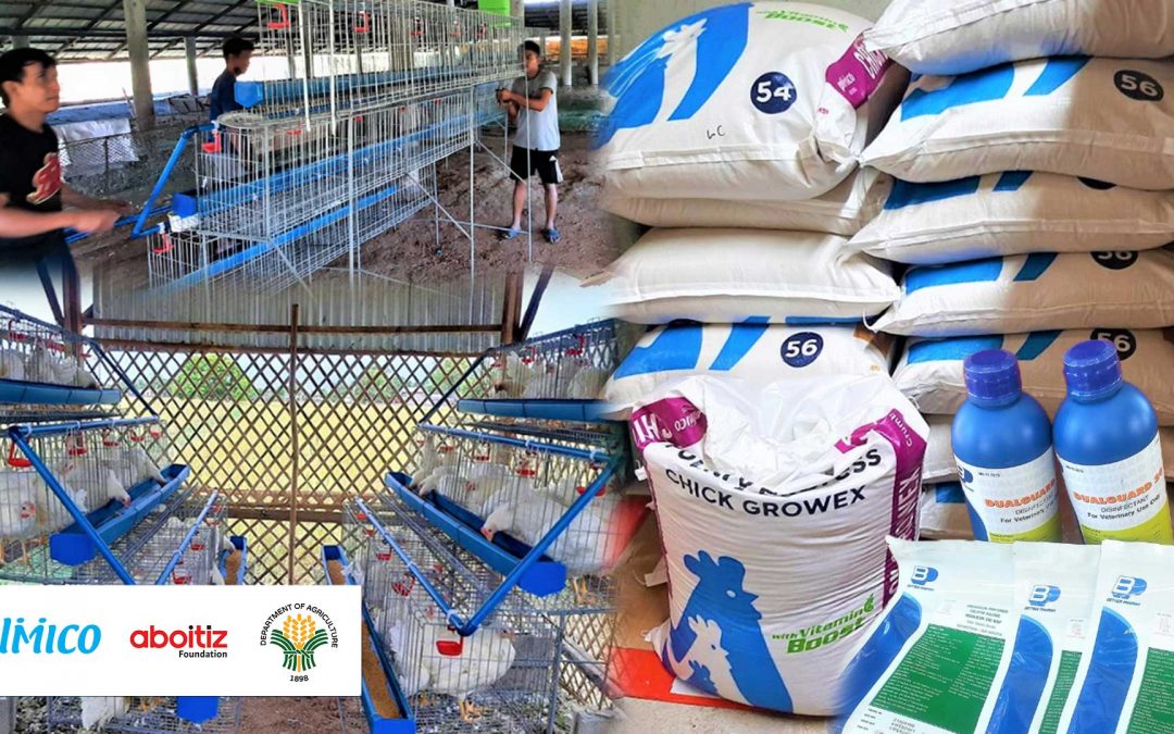 Poultry farmers get livelihood kits from Pilmico, Aboitiz Foundation, DA