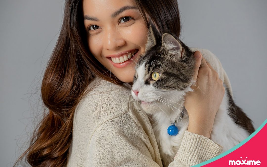 Pilmico expands pet food brand Maxime with new cat food line