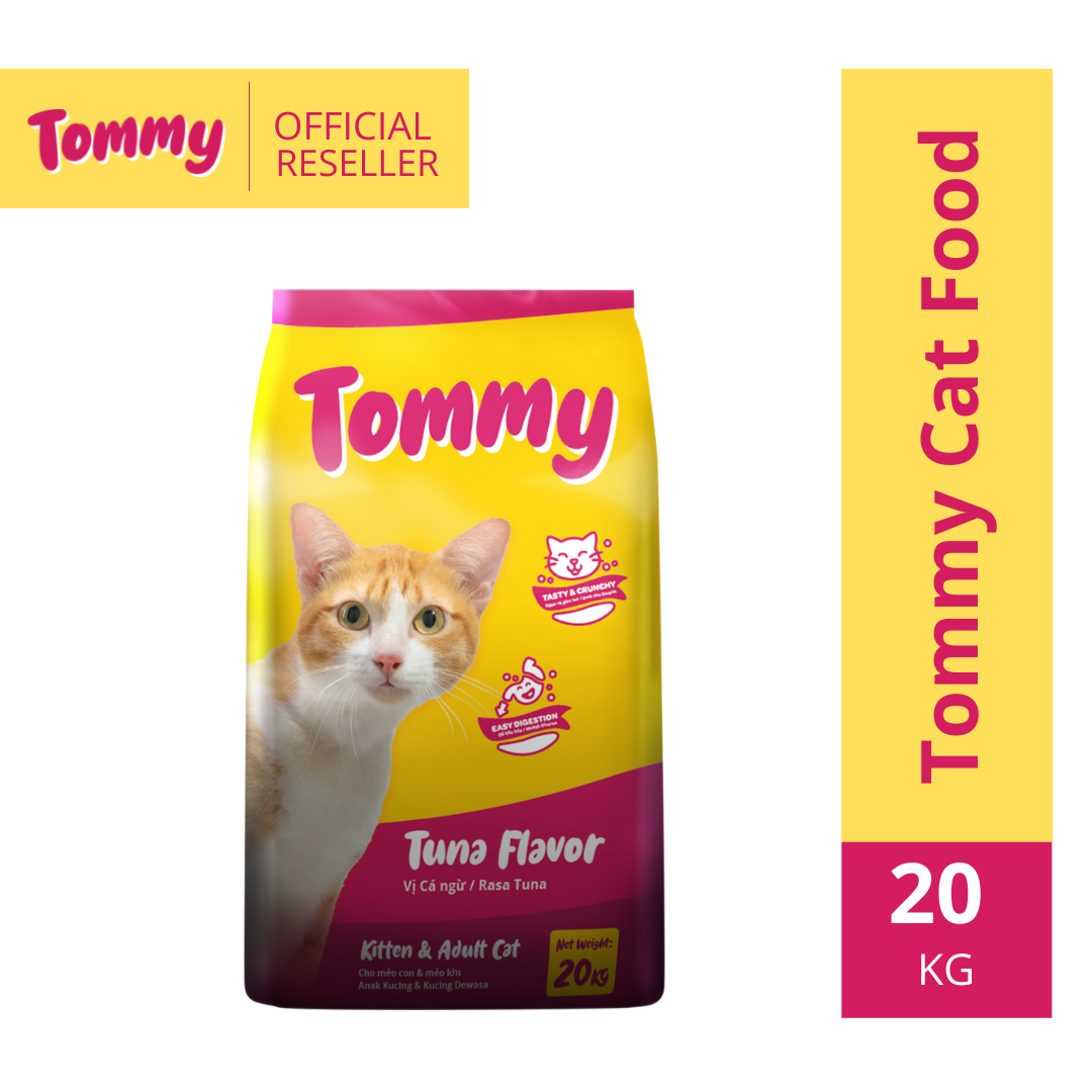 maxime reseller tommy product catalog kitten cat