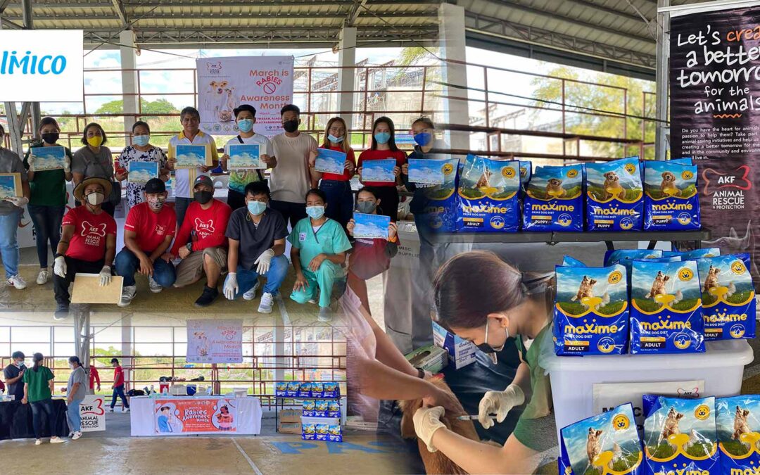 Pilmico and Animal Kingdom Foundation mark Rabies Awareness Month with free vaccination drive