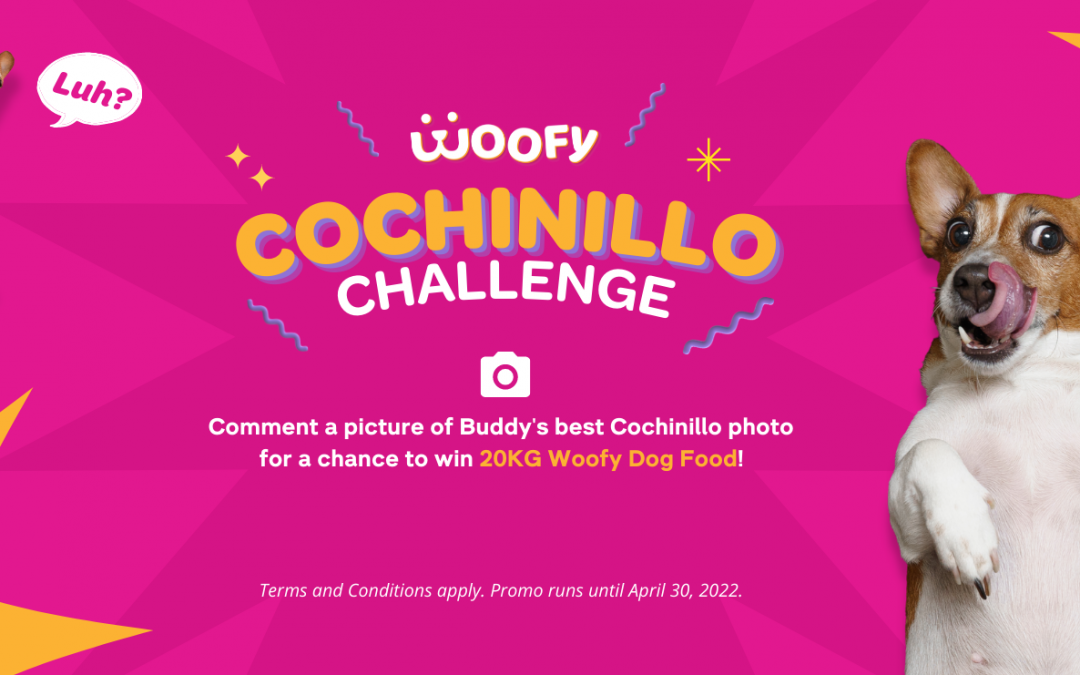 Woofy Cochinillo Challenge