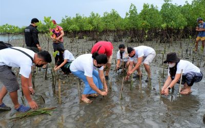 Pilmico holds month-long tree planting activities for World Environment Month and Arbor Day