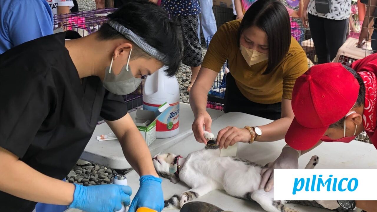 Pilmico donates to Animal Kingdom Foundation’s 20th Anniversary Pilmico