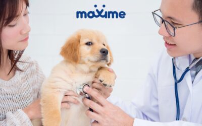 The Vet Checklist: Essentials for your new pet