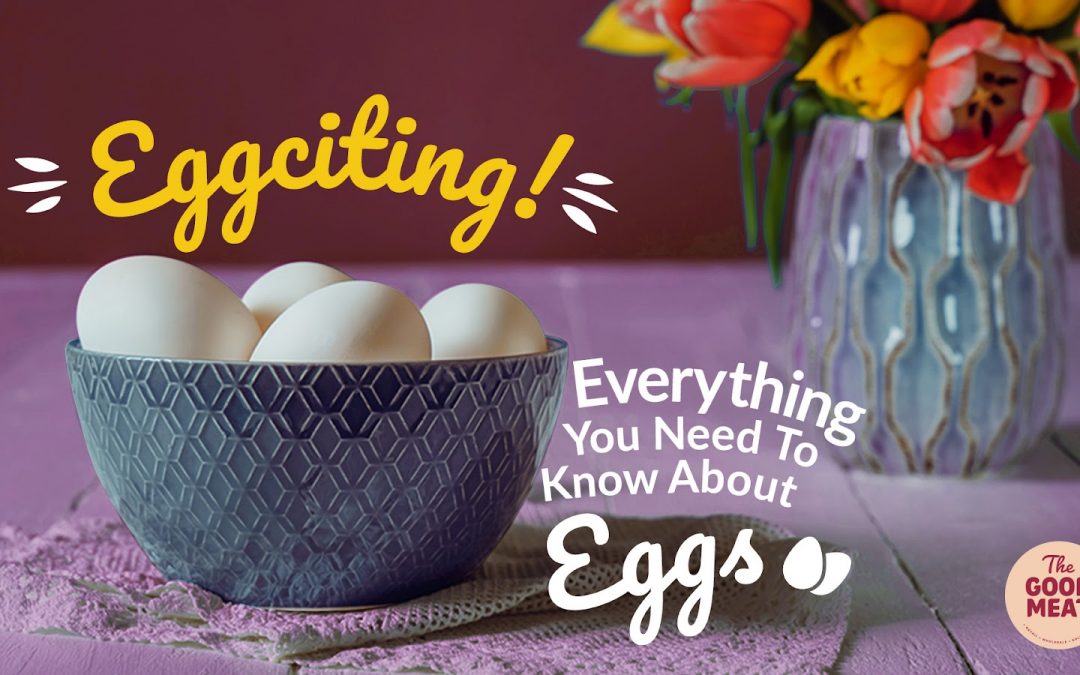 Eggciting!  Everything You Need To Know About Eggs