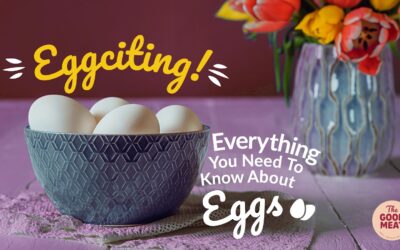 Eggciting!  Everything You Need To Know About Eggs