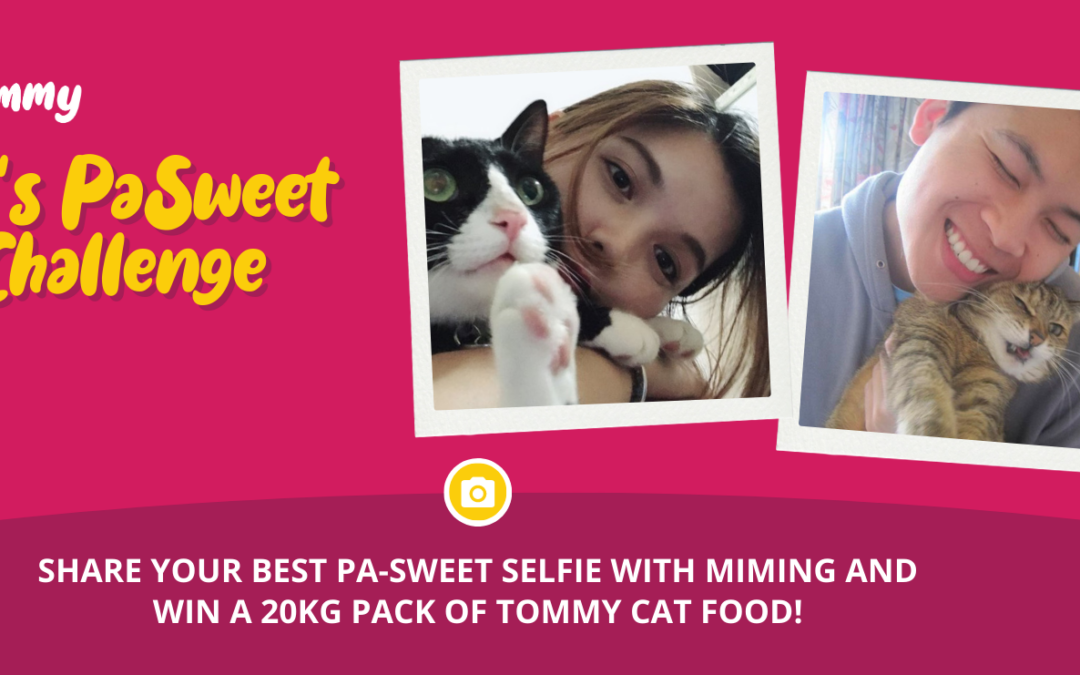 Tommy’s First Anniversary Giveaway