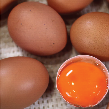 brown eggs with visible egg yolk
