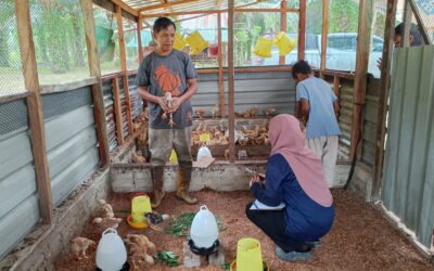 Gold Coin and Global Peace Foundation team up for Year 2 of livelihood initiative in Malaysia