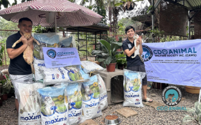 Bayanihan Spirit in Action: Pilmico and Animal shelters extend a helping paw 