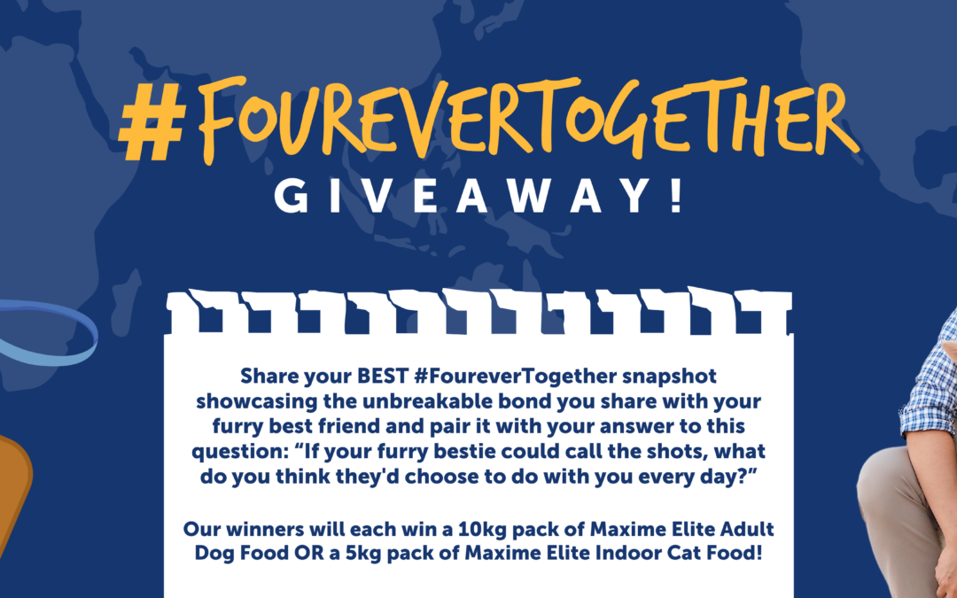 Get a chance to win at our #FoureverTogether Giveaway