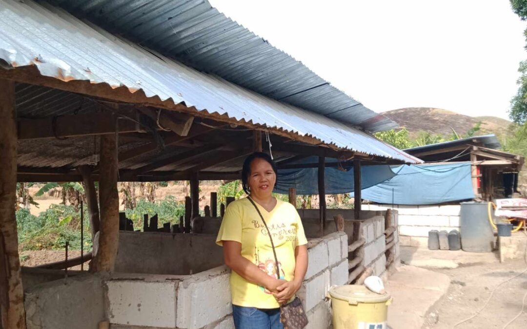 From Struggle to Success: How Pilmico’s Livelihood Kit Program Transformed Arselisa’s piggery business