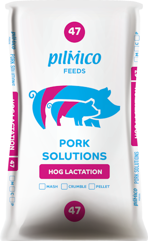 47 Hog Lactation