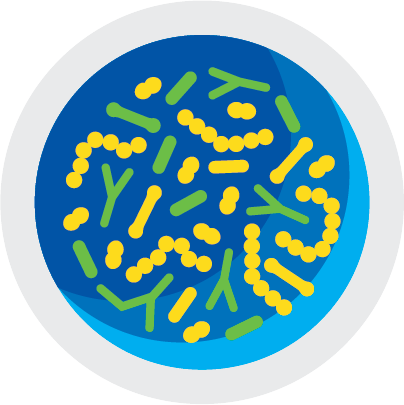 Broiler_Balanced Microbiome
