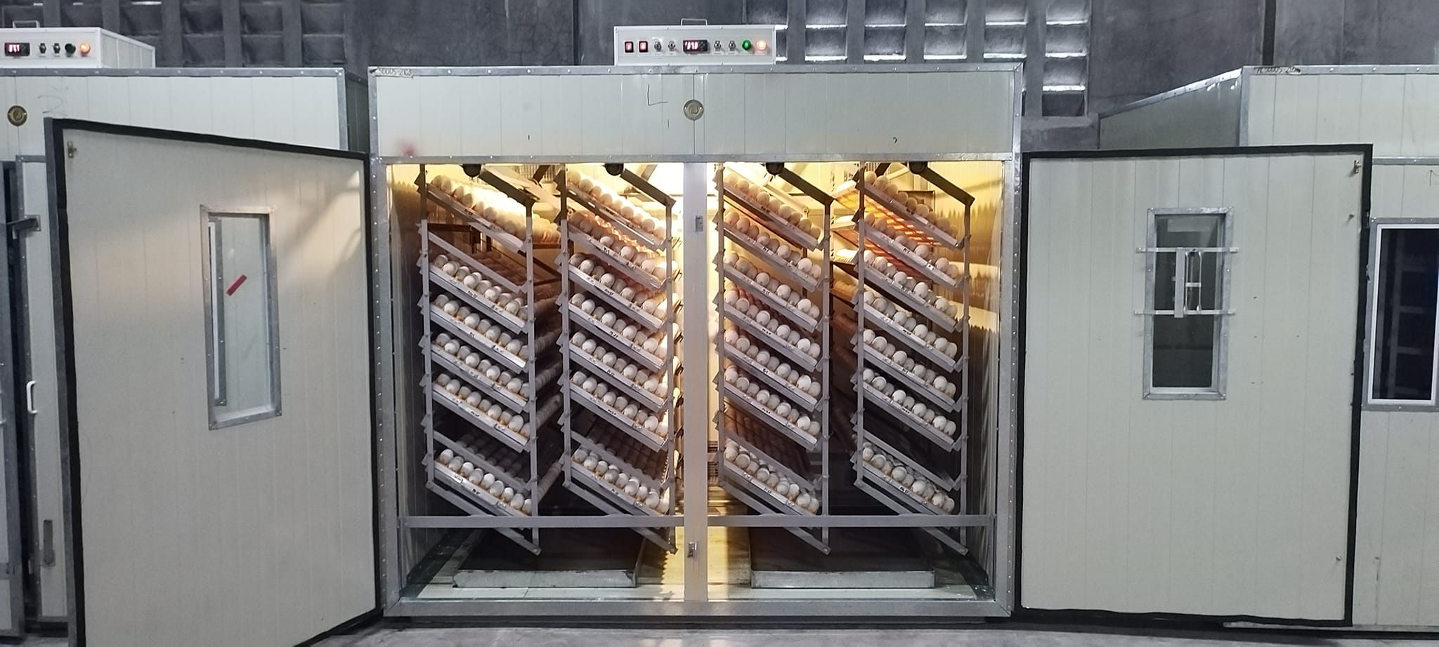 Balut oven at Marvin's Balut Processor