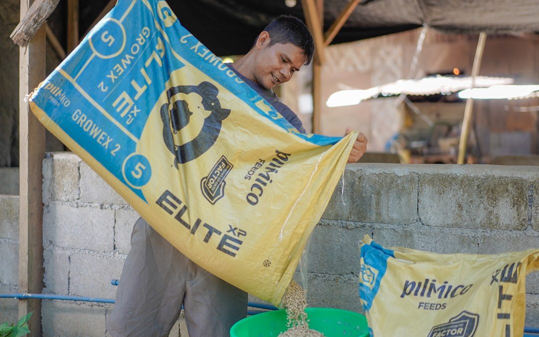 Smart Feeding, Better Farming: 4 Pro Tips to Get the Most Out of Your Feeds