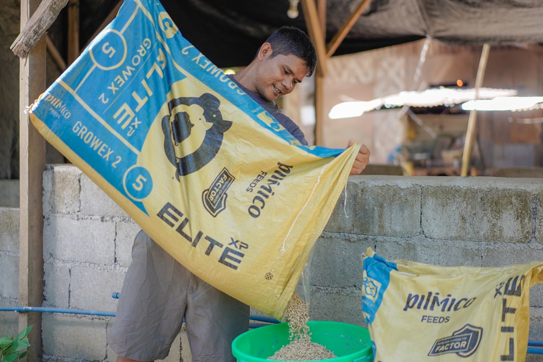 Farm worker placing swine feed on bucket