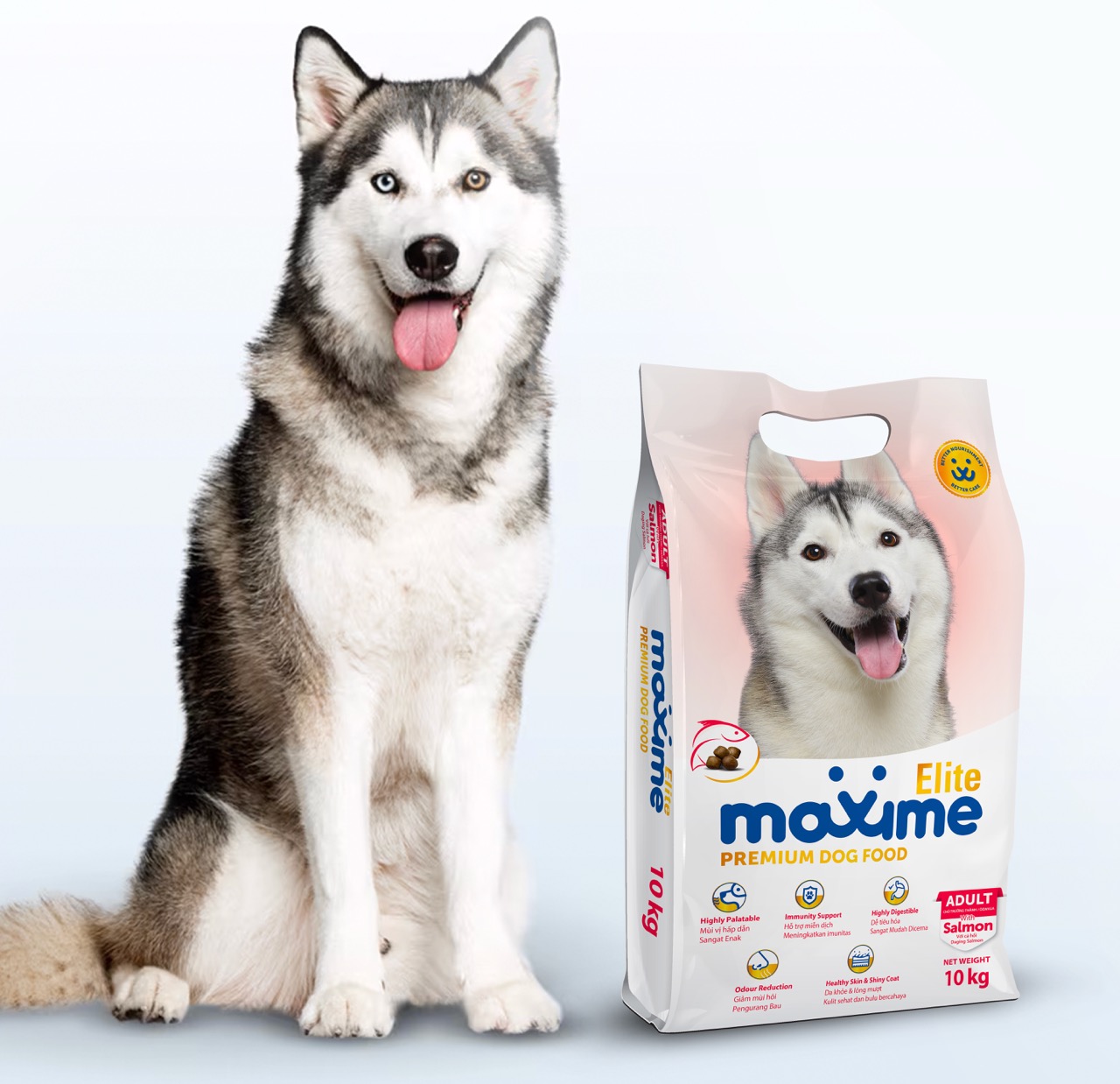 Maxime Elite Adult Dog Large Maxime Elite Adult Dog