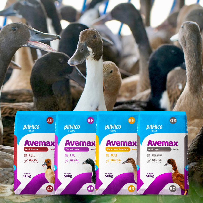 2026 packaging - website_Avemax Duck Avemax Duck Feeds
