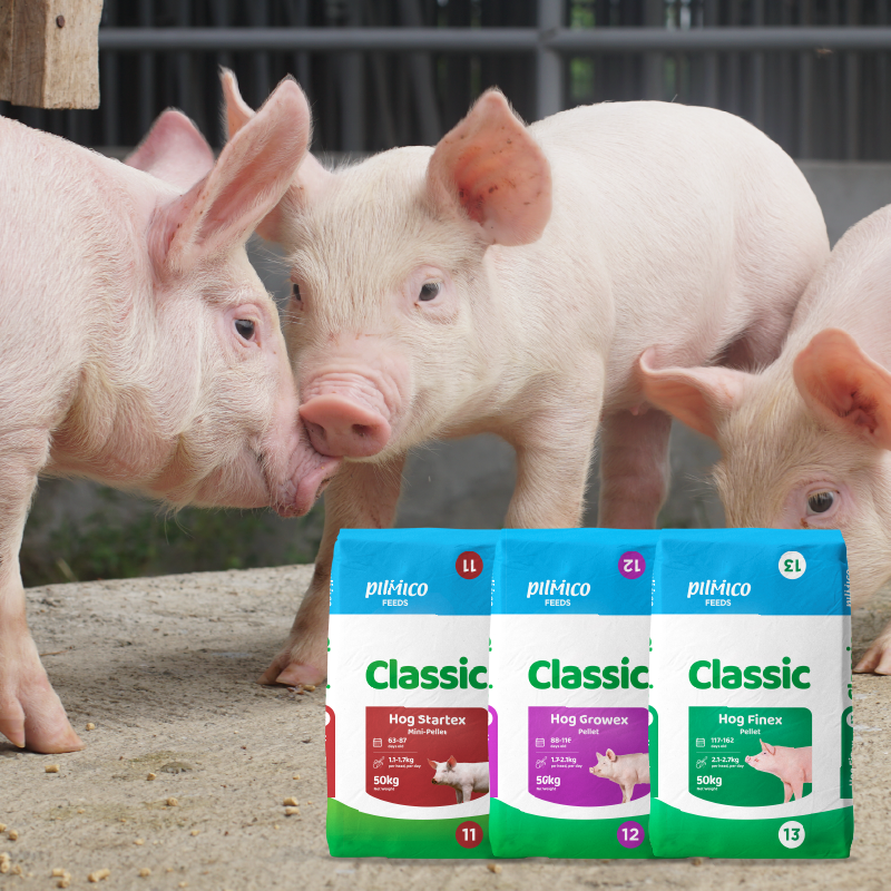 2026 packaging - website_Classic Classic