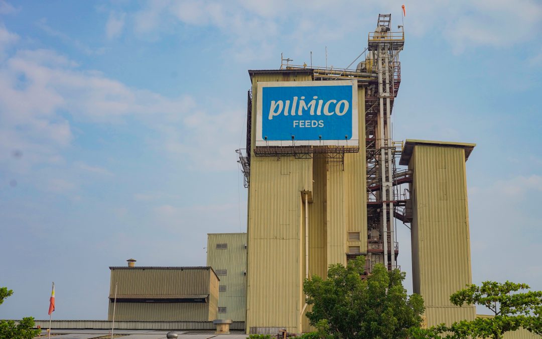 From Feeds and Farms to Families: Pilmico Animal Nutrition, Nourishing the Nation for 28 Years